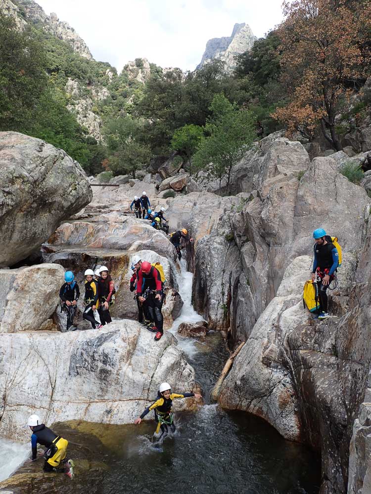 Afficher l’image source